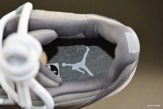 Rep Cool Grey Jordan 528895-003 Low Air 11 0725